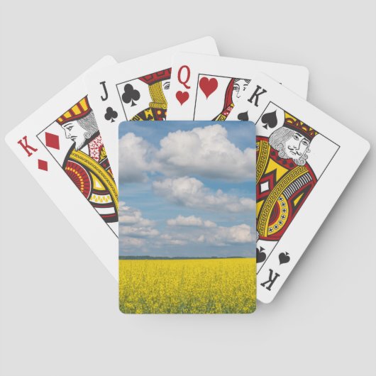 Jeu De Cartes Champ de Canola & Nuages (dos)