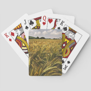 Jeu De Cartes Champ de céréales