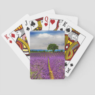 Jeu De Cartes Champ de lavande pittoresque, France
