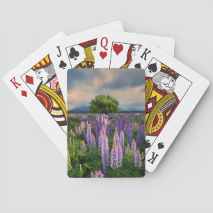 Jeu De Cartes Champ de lupin en Nouvelle Zélande