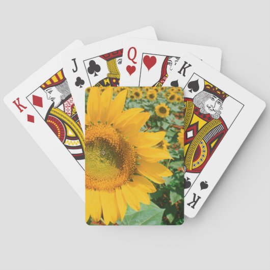 Jeu De Cartes Champ De Tournesols. District de Heidleberg (dos)