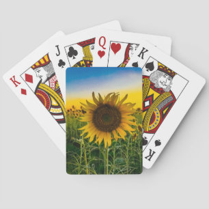 Jeu De Cartes Champ de tournesols du Kansas