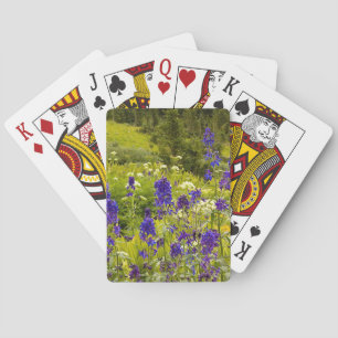 Jeu De Cartes Champ pourpre
