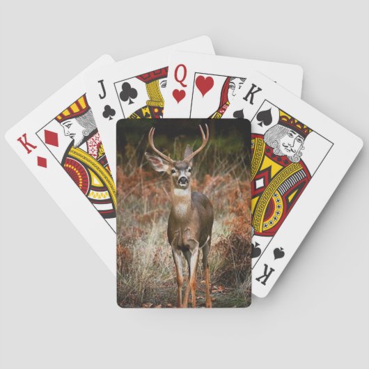 Jeu De Cartes Chasse (dos)