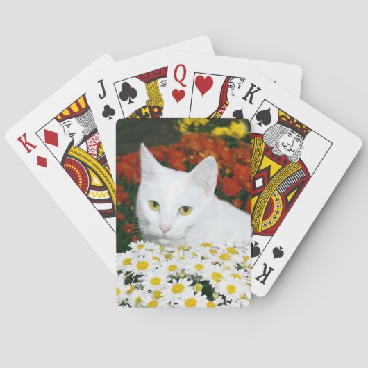 Jeu De Cartes Chat blanc dans les fleurs d'automne (dos)