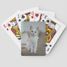chat blanc | Zazzle_Growshop.