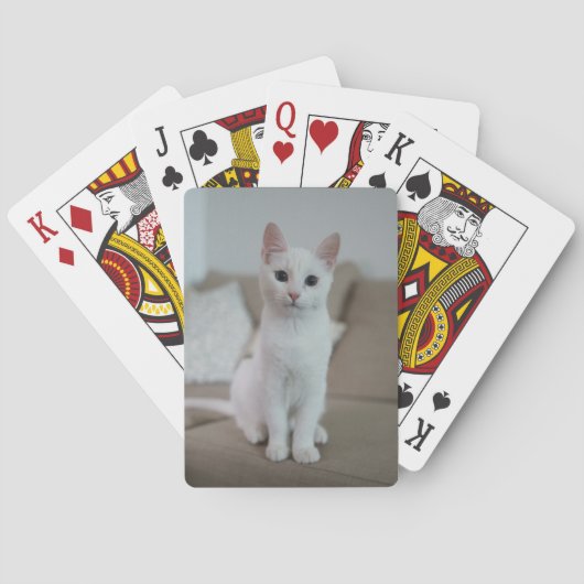 Jeu De Cartes chat blanc | Zazzle_Growshop. (dos)