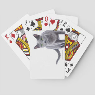 Jeu De Cartes Chat bleu russe