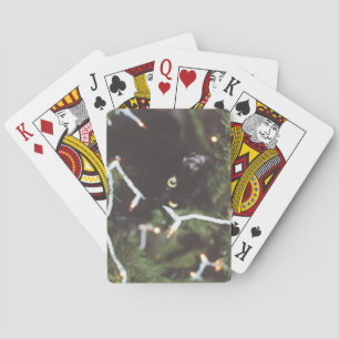 Jeu De Cartes Chat de plate-forme de tisonnier dans l'arbre de