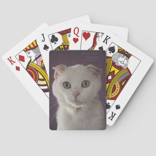 Jeu De Cartes Chat de pli d'écossais (dos)