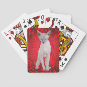 Jeu De Cartes Chat de Sphynx