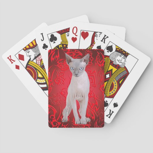 Jeu De Cartes Chat de Sphynx (dos)