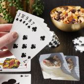 Jeu De Cartes Chat dormant dans un jardin (In Situ)
