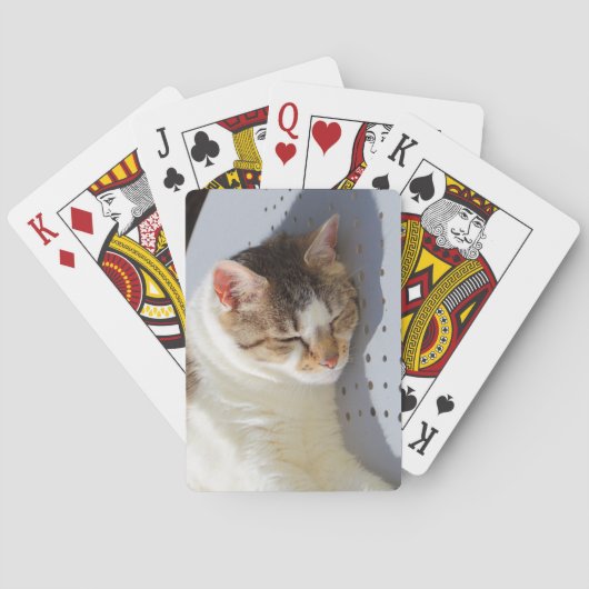 Jeu De Cartes Chat dormant dans un jardin (dos)