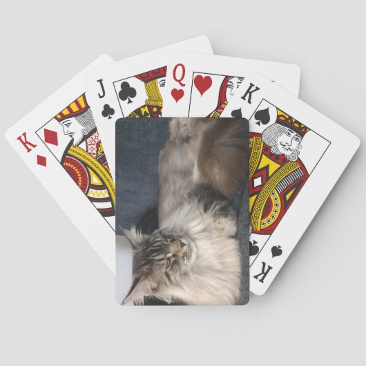 Jeu De Cartes Chat du Maine (dos)