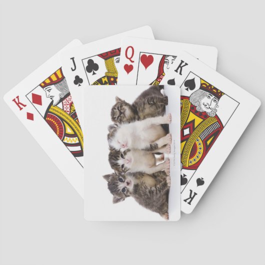 Jeu De Cartes Chat japonais (dos)