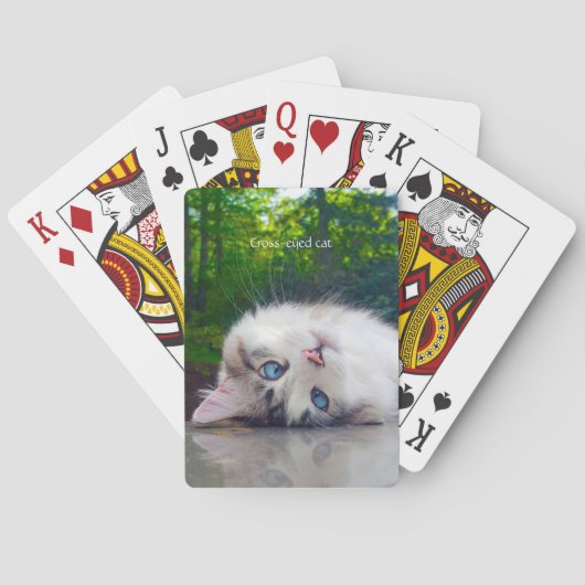 Jeu De Cartes Chat louche (dos)