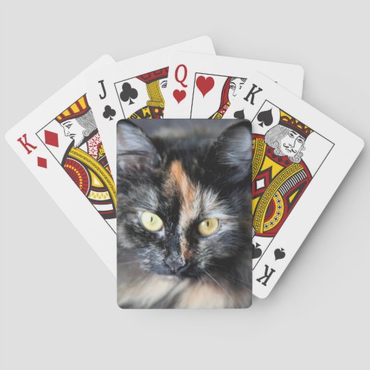 Jeu De Cartes Chat sibérien (dos)