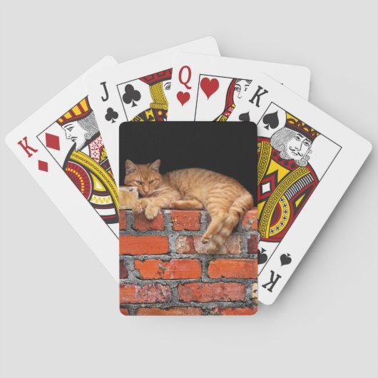 Jeu De Cartes Chat sur mur de brique (dos)