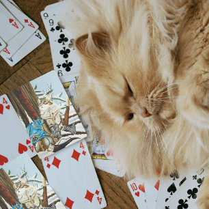 Jeu De Cartes Chat Viking Bleu Dragon Fantastique