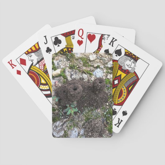 Jeu De Cartes Château d'Ant (dos)