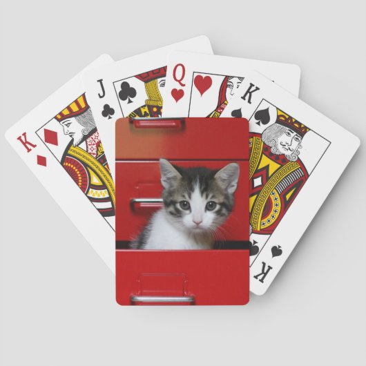 Jeu De Cartes Chaton en train de regarder (dos)