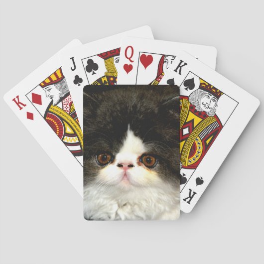 Jeu De Cartes Chaton noir et blanc (dos)