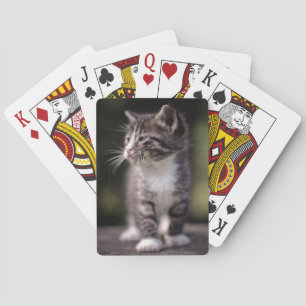 Jeu De Cartes Chaton se tenant grand