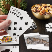 JEU DE CARTES CHATONS MIGNONS DANS UN PANIER (In Situ)