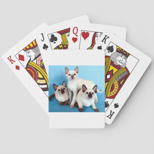Jeu De Cartes Chats siamois (dos)