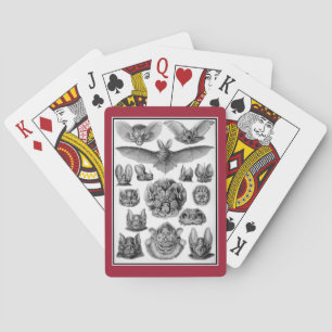 Jeu De Cartes Chauves-souris !