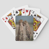 Jeu De Cartes Cheetah Love (dos)