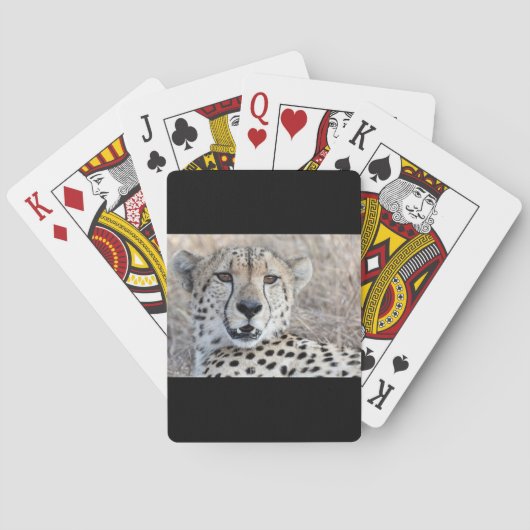 Jeu De Cartes Cheetah Portrait (dos)