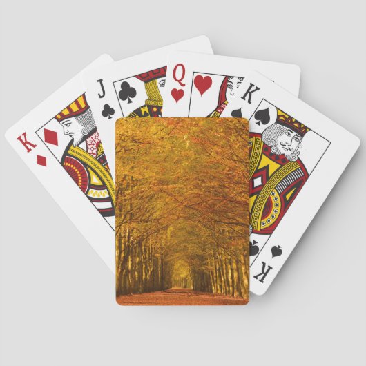 Jeu De Cartes Chemin de marche à travers la forêt dans des (dos)