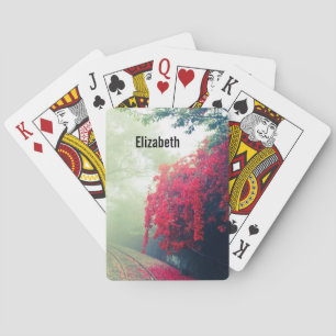 Jeu De Cartes Chemins de fer Misty Photo Pittoresque