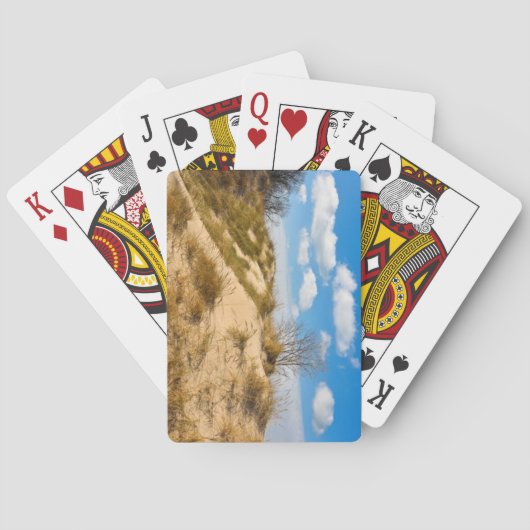 Jeu De Cartes Chesterton, Indiana (dos)