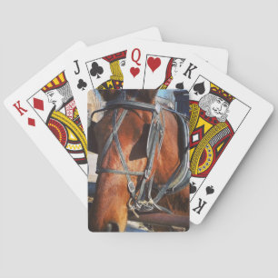Jeu De Cartes Cheval Amish