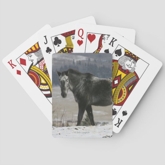 Jeu De Cartes Cheval Appaloosa dans la neige (dos)