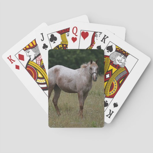 Jeu De Cartes Cheval Appaloosa debout dans l'herbe (dos)