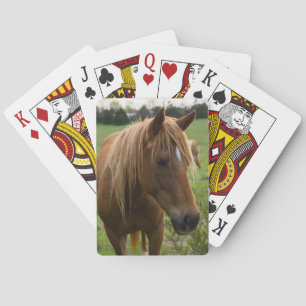 Jeu De Cartes Cheval Bonjour