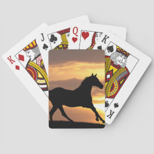 Jeu De Cartes Cheval dans le coucher du soleil