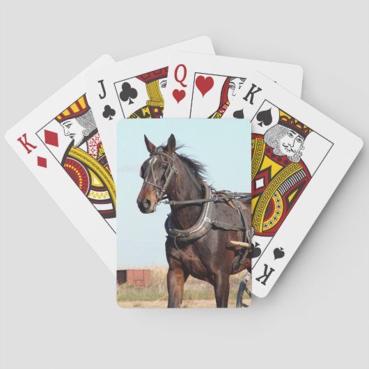 Jeu De Cartes Cheval de l'Amish rural et buggy (dos)