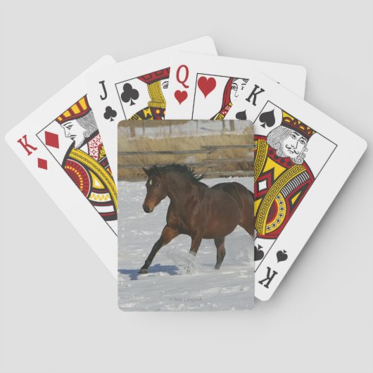 Jeu De Cartes Cheval de pur sang fonctionnant dans la neige (dos)