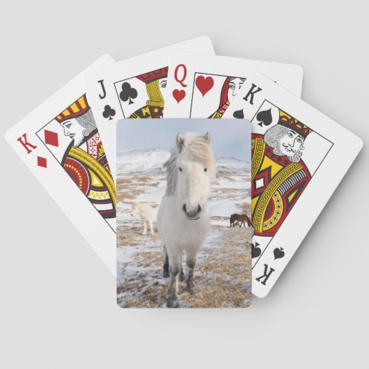 Jeu De Cartes Cheval islandais blanc, Islande (dos)
