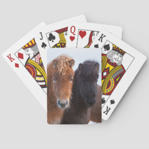 Jeu De Cartes Cheval islandais en hiver en Islande