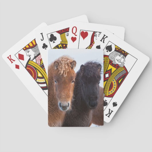Jeu De Cartes Cheval islandais en hiver en Islande (dos)