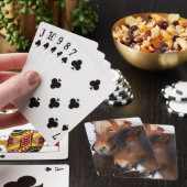 Jeu De Cartes Cheval islandais en hiver en Islande (In Situ)