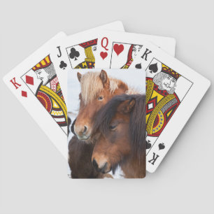 Jeu De Cartes Cheval islandais en hiver en Islande 3