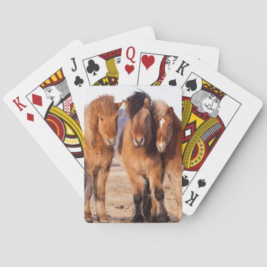 Jeu De Cartes Cheval islandais pendant l'hiver (dos)
