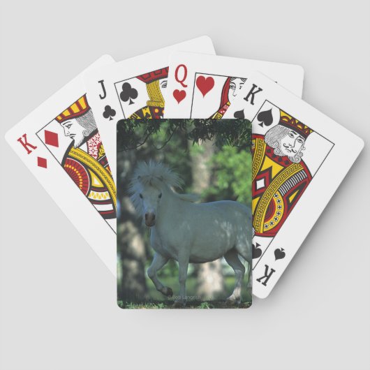 Jeu De Cartes Cheval miniature se tenant dans les arbres (dos)